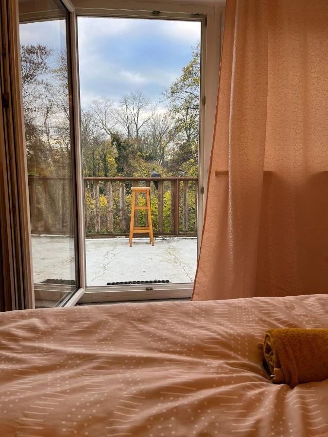 Breathtaking Shared Villa Near Danube River /W Garden And Parking Vídeň Exteriér fotografie