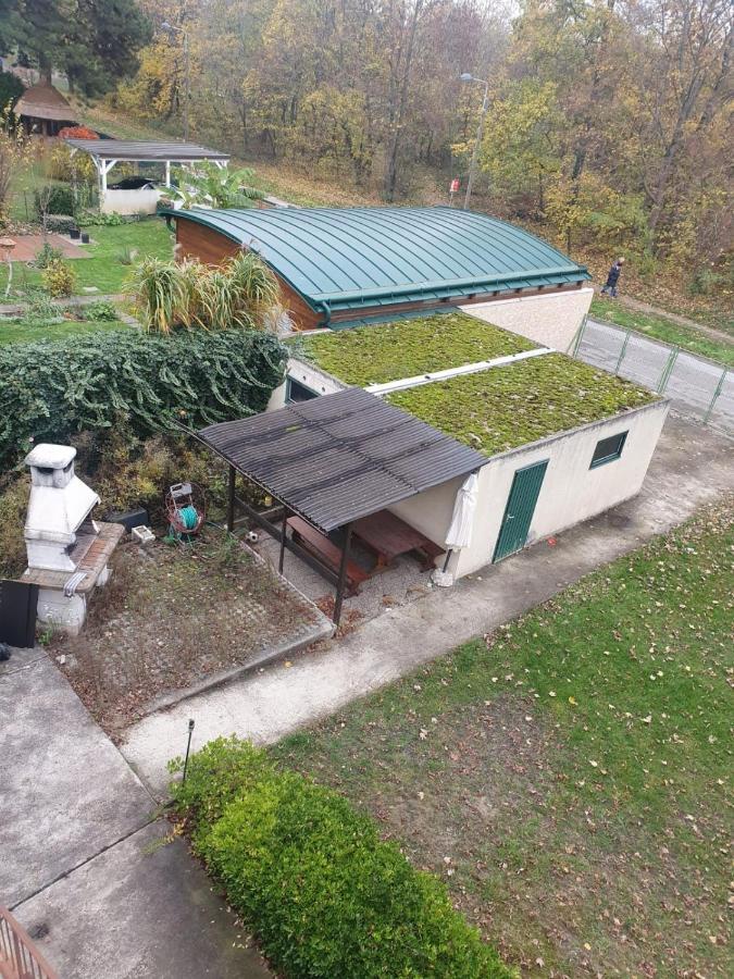 Breathtaking Shared Villa Near Danube River /W Garden And Parking Vídeň Exteriér fotografie